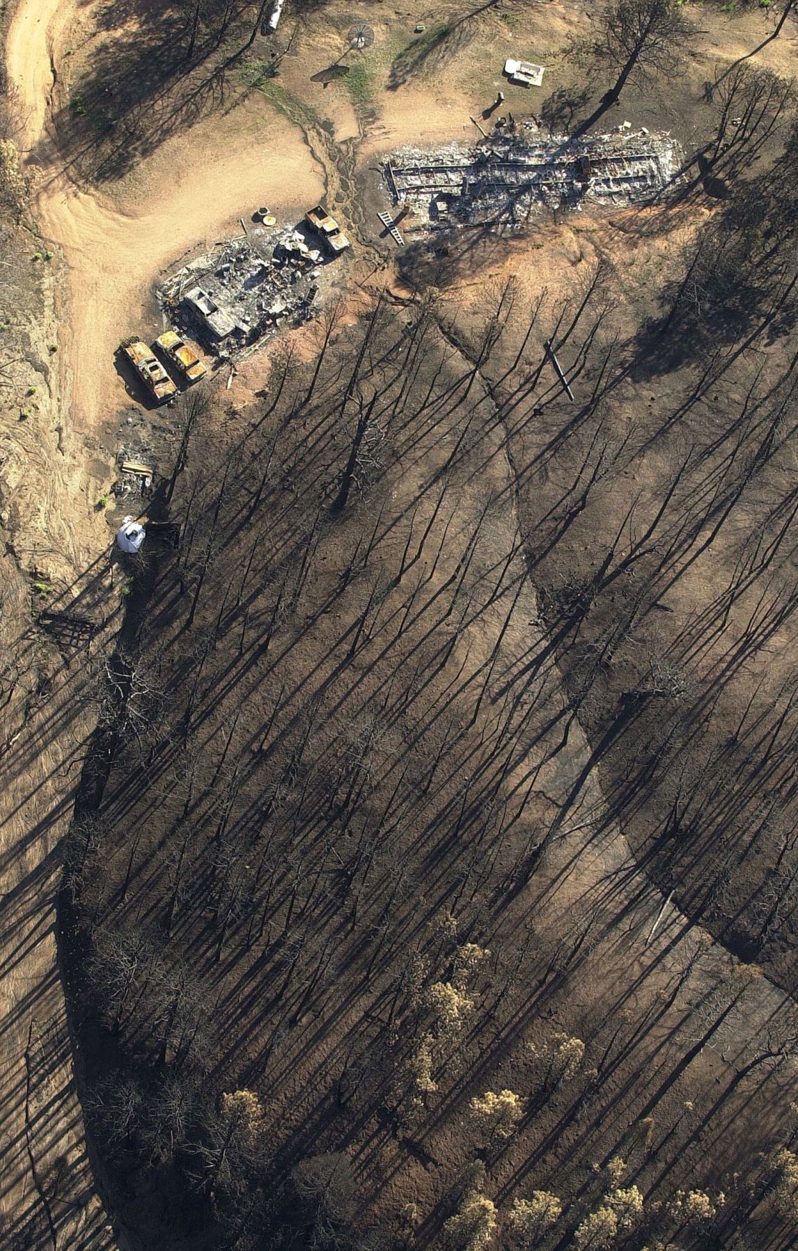 Hayman Fire
